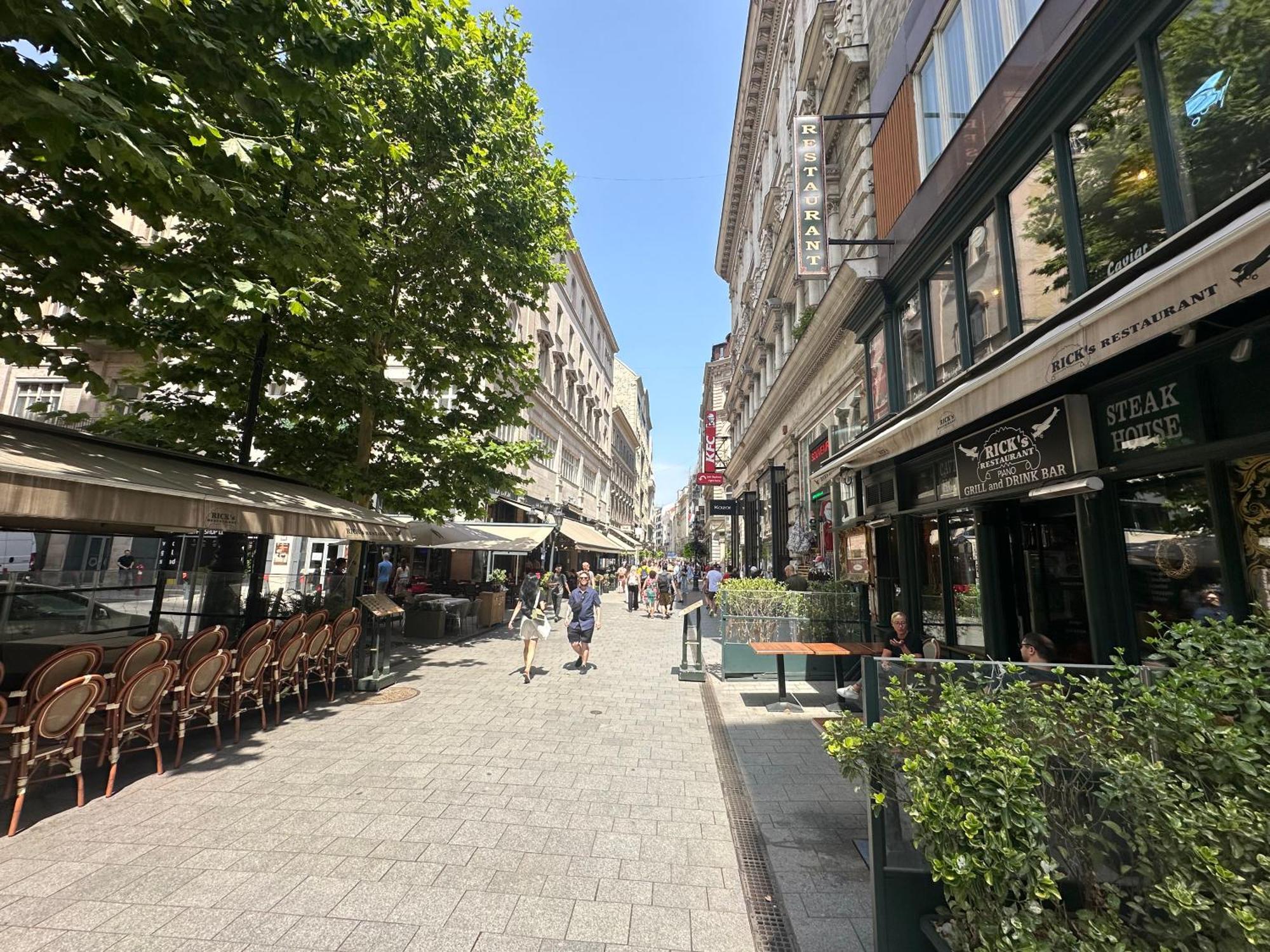 Bright Apartment In The Most Beautiful Street Of Budapest Vaci Street, Fashion Street ブダペスト エクステリア 写真